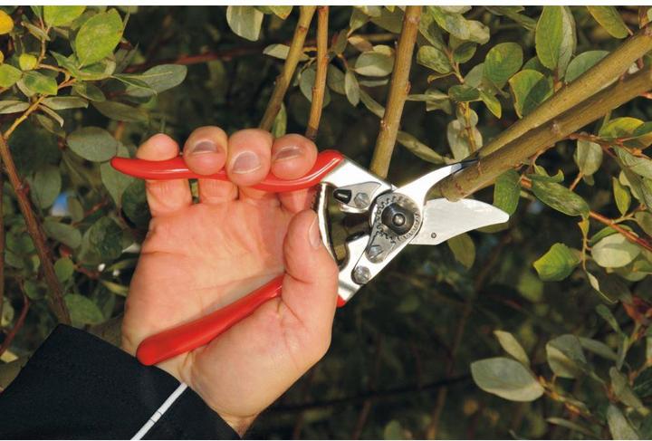 Actual product image Felco Garden shears 6