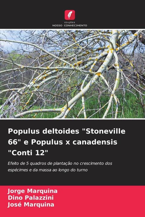 Actual product image Populus deltoides 'Stoneville 66' e Populus x canadensis 'Conti 12' (Jorge Marquina, José Marquina, Dino Palazzini, 2023)