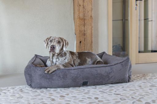 Produktbild Designed by Lotte Ribbed (Hund)