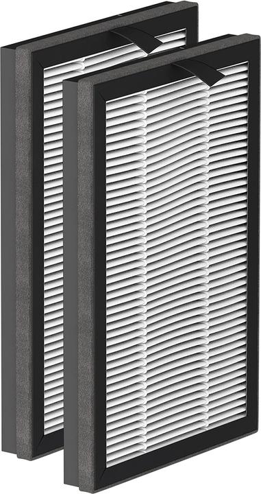 Actual product image Rowenta XD6520F0 Air Purifier Accessories Air Purifier Filter (1 x)
