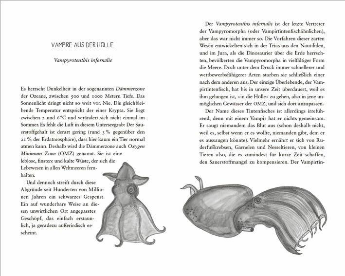 Produktbild Die seltsamsten Tiere der Welt – Skurrile Schöpfungen der Evolution. Tierporträts, die Darwin und (Deutsch, Lisa Signorile, 2019)