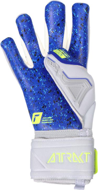 Produktbild Reusch Attrakt Freegel Fusion Goaliator Torwarthandschuhe (8)