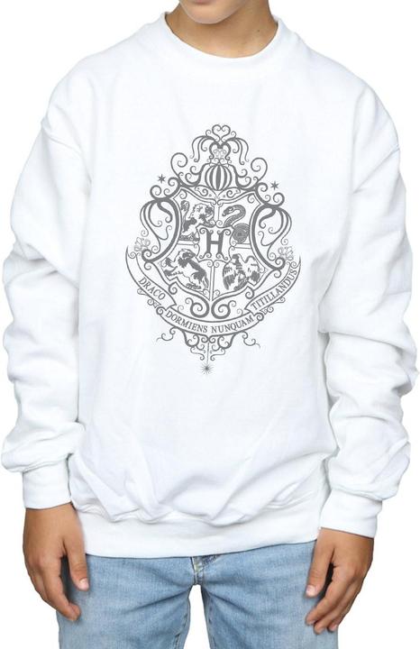 Image du produit - Sweat HOGWARTS DRACO DORMIENS CREST - Garçon (140, 146)