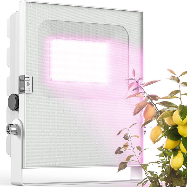 Actual product image Meine Orangerie Plant lamp (LED, 230 V)