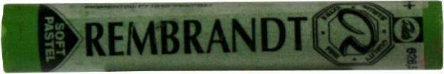 Image du produit Talens Pastels Rembrandt Vert vermillon clair 626.5 (Vert Vermillon)