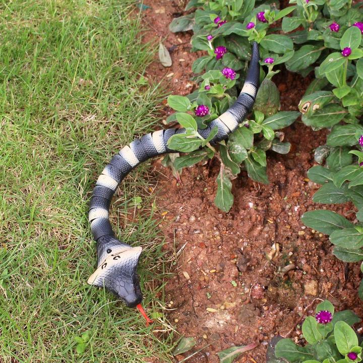 Actual product image Zuru REAL WILD - Remote controlled Cobra Snake - (20248)