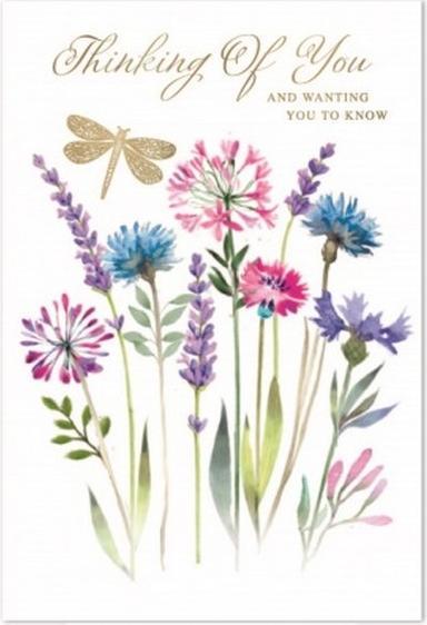Produktbild Simon Elvin Grusskarte Thinking Of You Beileid 6erPack Karton (6 Stk.)