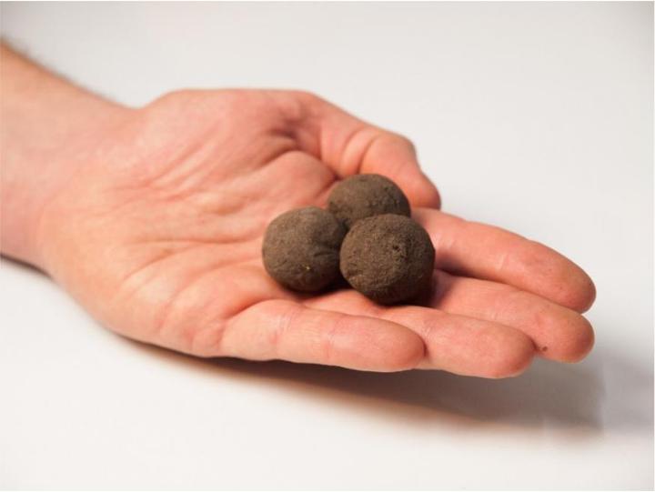 Image du produit Die Stadtgärtner Bombes de graines de tournesol (Germe de bombe)