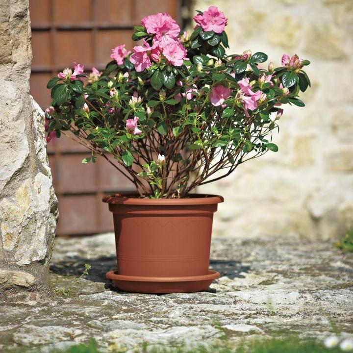 Produktbild Euro3plast Pflanzkübel (35 cm)