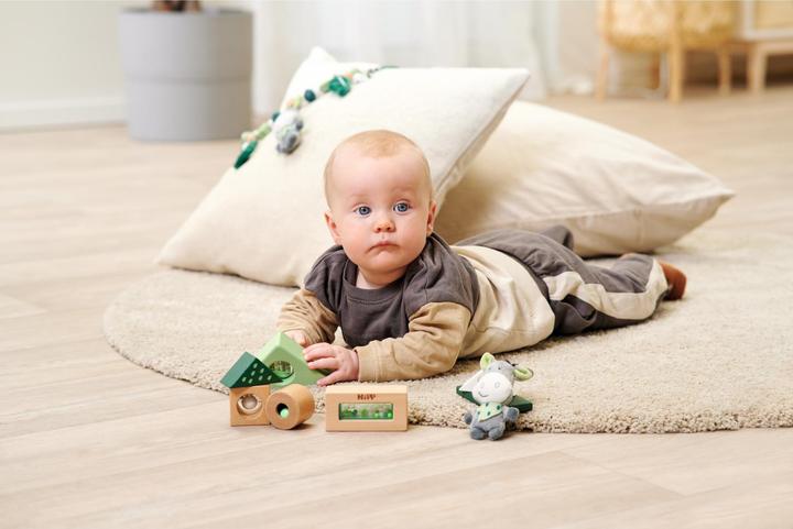 Immagine prodotto Eichhorn Blocchi di costruzioni sonore Baby HiPP