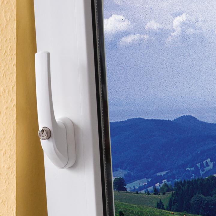 Immagine prodotto Abus FG300 B CL/DFNLI