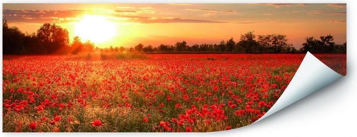 Actual product image Trenddeko Poppy field in the sunset (120 x 50 cm)