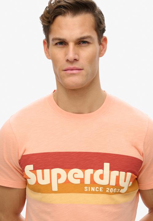 Actual product image Superdry Terrain Logo Stripe Relxed Tee (S)