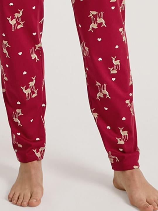 Actual product image Calida Family & Friends (XS)
