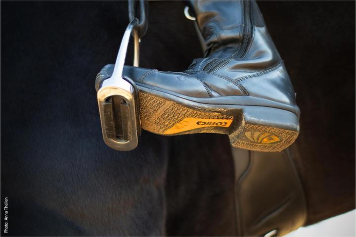Immagine prodotto Schockemöhle Sports Stivali da equitazione Jupiter Tonics Donna (38)