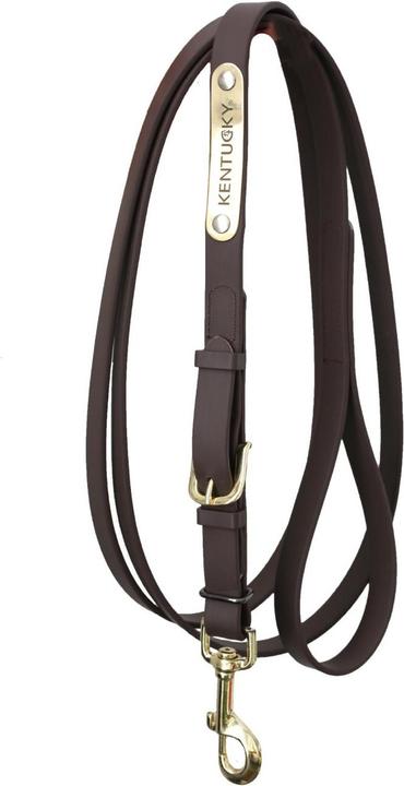 Produktbild Kentucky Horsewear Vorführstrick 2m Biothane Beta