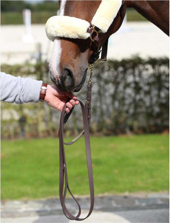 Produktbild Kentucky Horsewear Vorführstrick 2m Biothane Beta