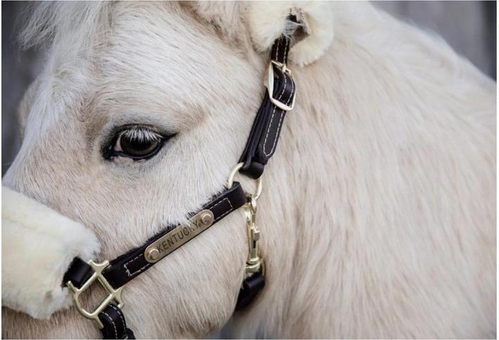 Produktbild Kentucky Horsewear Pony Lederhalfter