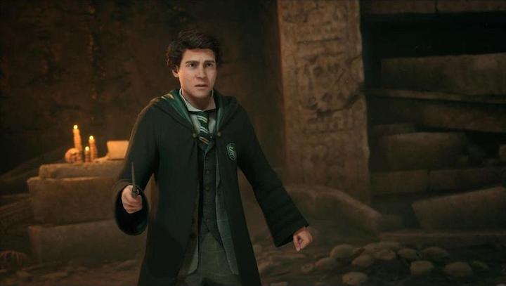 Actual product image WB Hogwarts Legacy (PS4, DE, FR)