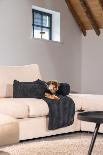 Image du produit Designed by Lotte Ribbed (Chien)