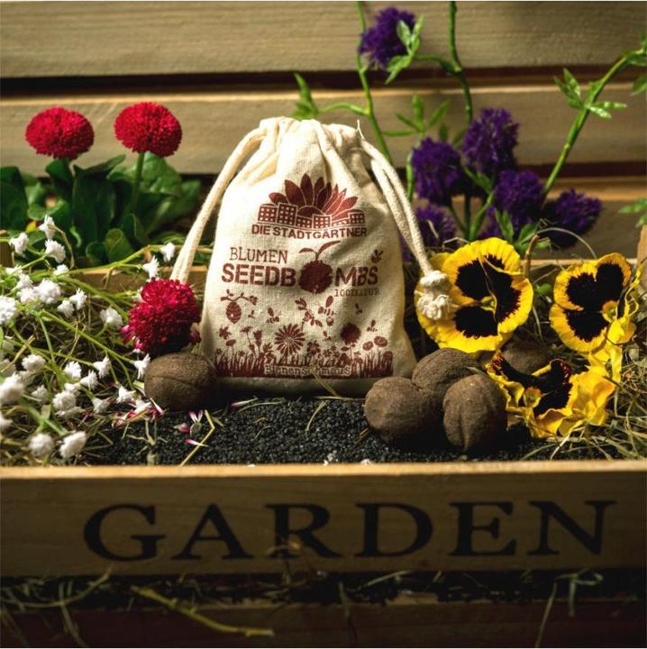 Produktbild Die Stadtgärtner Samenbomben Bienenschmaus (Blumensamen)