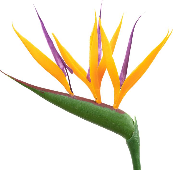 Immagine prodotto Flowerbox Set di 2 fiori di uccello del paradiso con fiore artificiale - Strelitzia Reginae (40 cm)