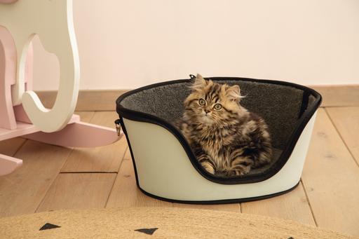 Immagine prodotto Beeztees Gattino (Gatto, Chiusura di sicurezza)