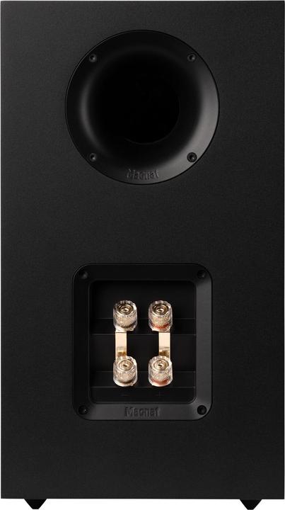 Actual product image Magnat Signature 603 (1 pair)