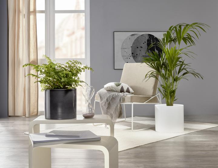 Produktbild Scheurich Blumentopf (40 cm)