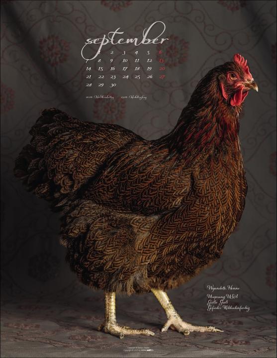 Produktbild Pretty Chicks Kalender 2026 (34 x 44 cm, Deutsch)