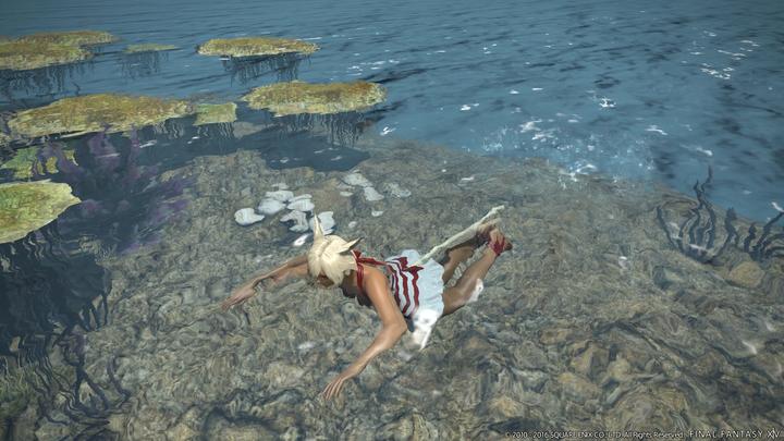 Image du produit Plaion Final Fantasy XIV Stormblood (PS4, IT)
