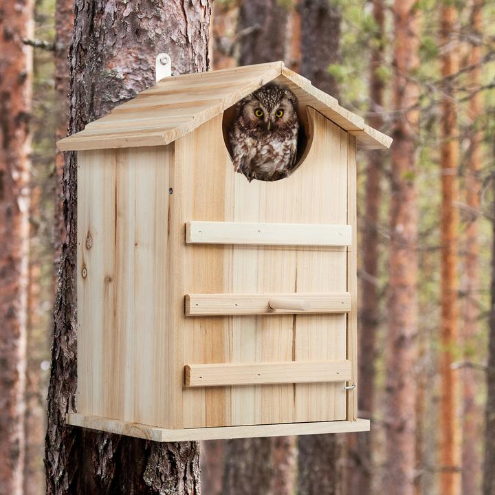 Actual product image Relaxdays Owl nesting box