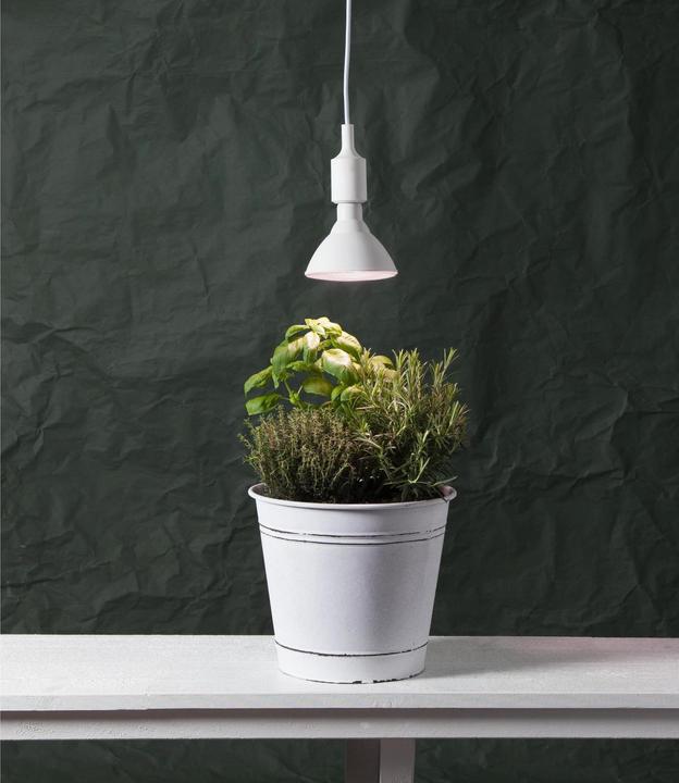 Produktbild Star Trading Lampe für Pflanzenlicht (E27, 16 W, 1200 lm, 1 x)