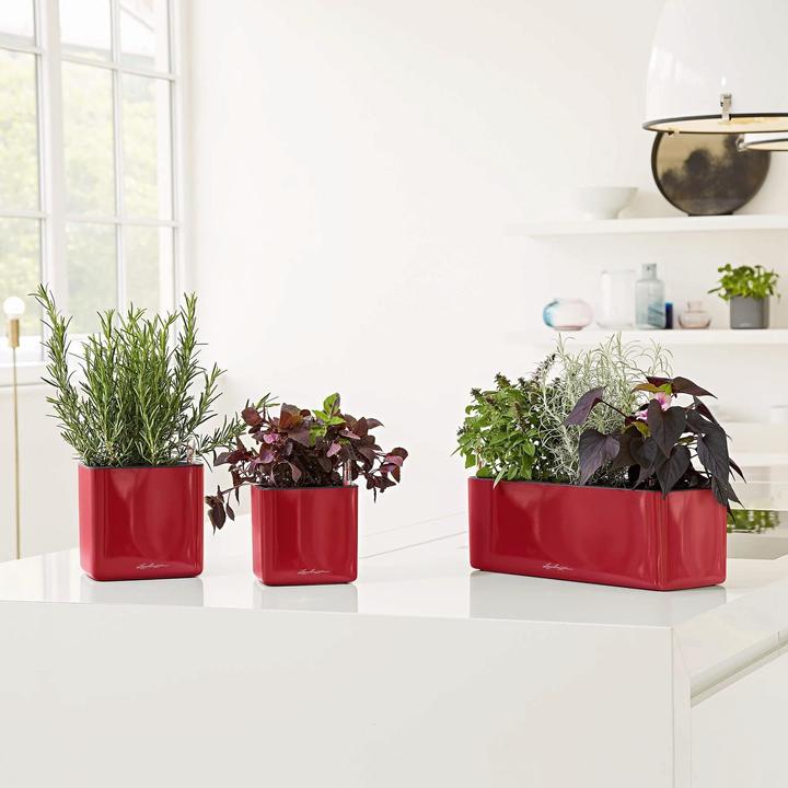 Immagine prodotto Lechuza Cube Glossy 16 (16 cm)