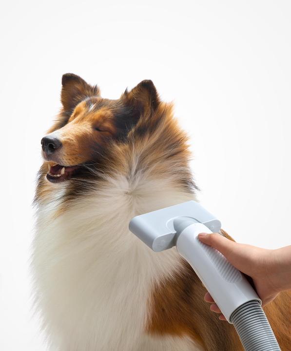 Actual product image HomeRunPet Pet hairdryer PD10 (Dog)