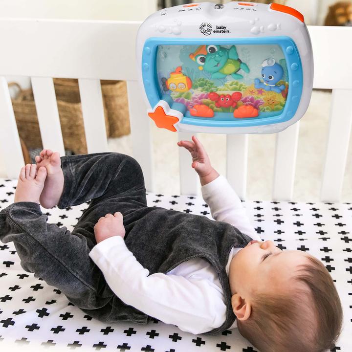 Actual product image Baby Einstein Sea dreams soother