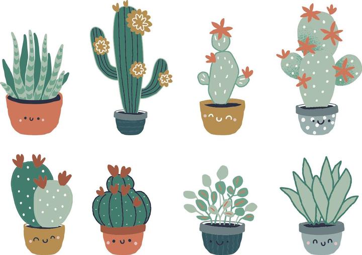 Actual product image Vertbaudet Wall Stickers/Wallpaper