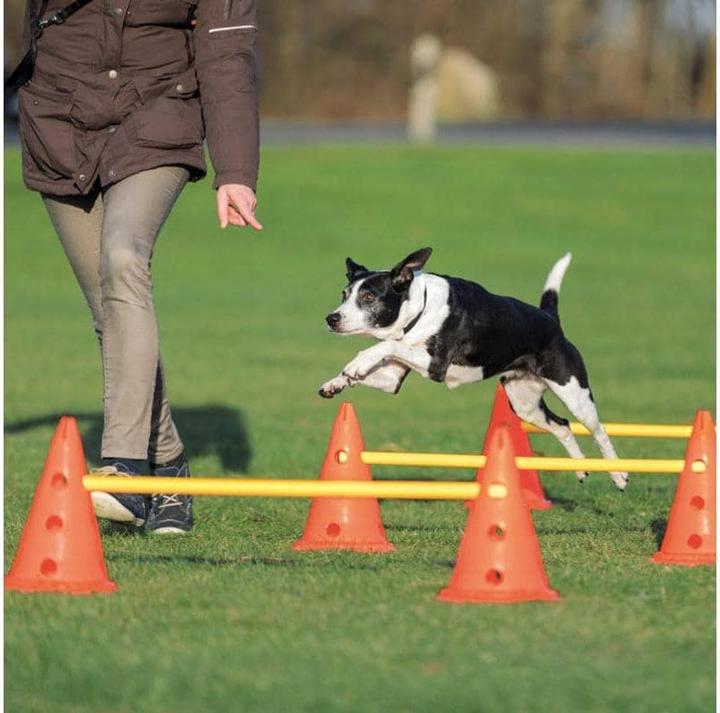 Actual product image Trixie dog activity (S, Agility)