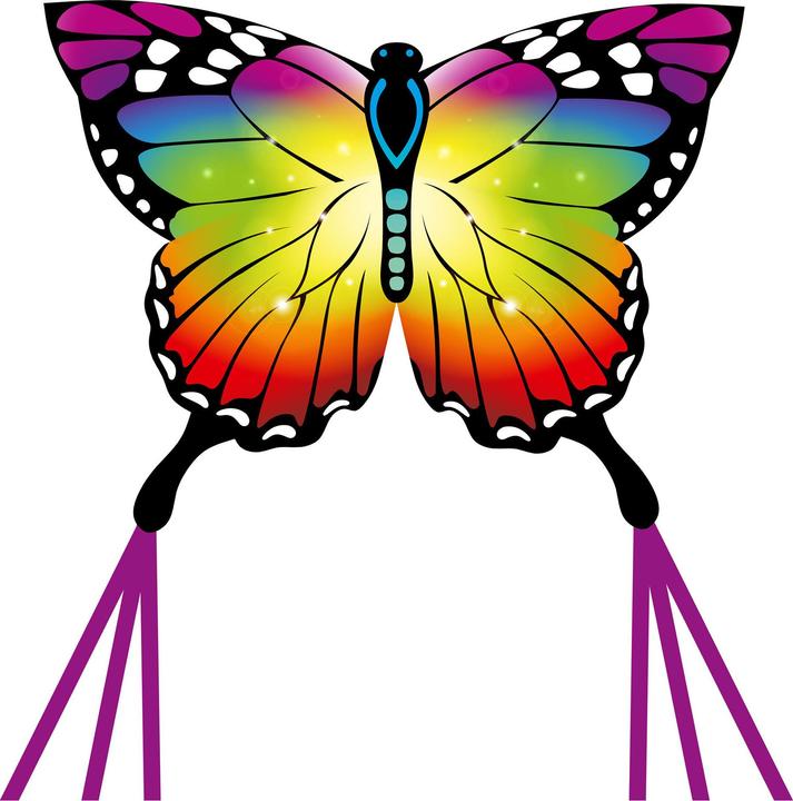 Image du produit Invento Butterfly Kite Rainbow