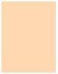 Actual product image MAC Cosmetics Studio Fix 24-Hour Smooth Wear Concealer (NW22)