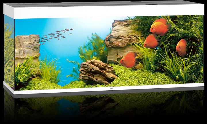 Actual product image Juwel Aquarium Rio (450 l)
