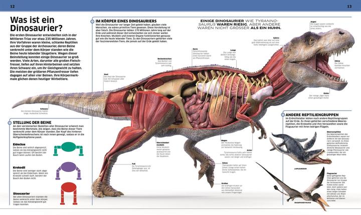 Produktbild Wissen. Dinosaurier (Deutsch, John Woodward, 2020)