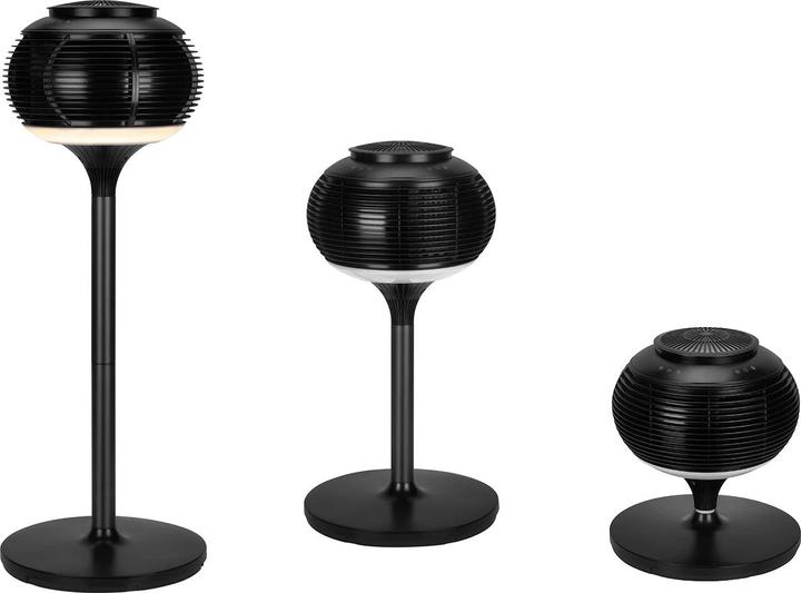 Actual product image Sonnenkönig Ibrig schwarz