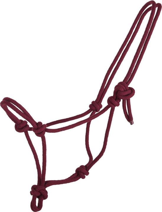 Qhp Basic
