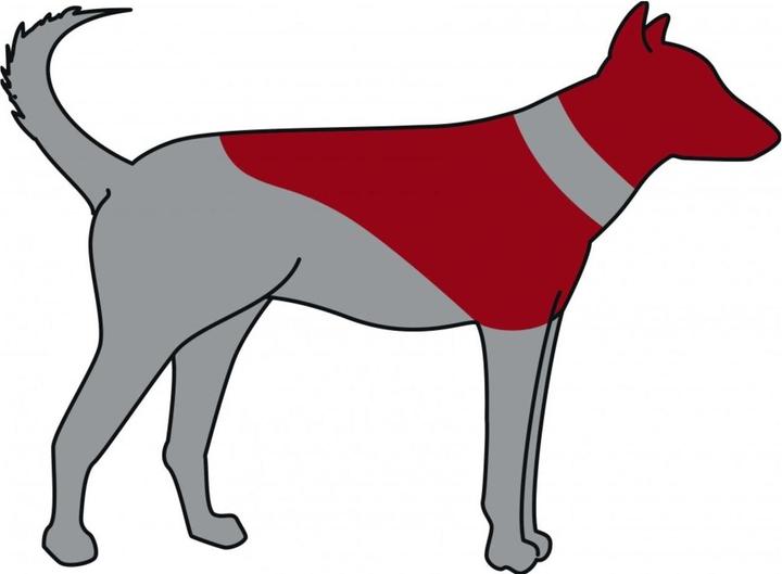 Immagine prodotto Trixie Collare di protezione, gonfiabile (Cane)