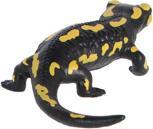 Image du produit Schleich Salamandre tachetée