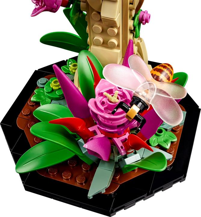 Immagine prodotto LEGO Idee La collezione di insetti (21342, LEGO Ideas)