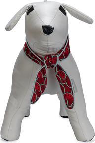 Actual product image Beeztees Quick Cooler Meloenie (Dog, General)