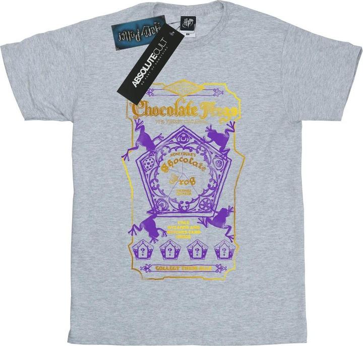 Actual product image Boys Chocolate Frogs Coloured Label T-Shirt (152, 158)