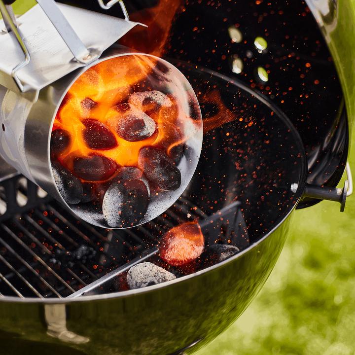 Actual product image Weber Coconut briquettes - 8 kg (8 kg)